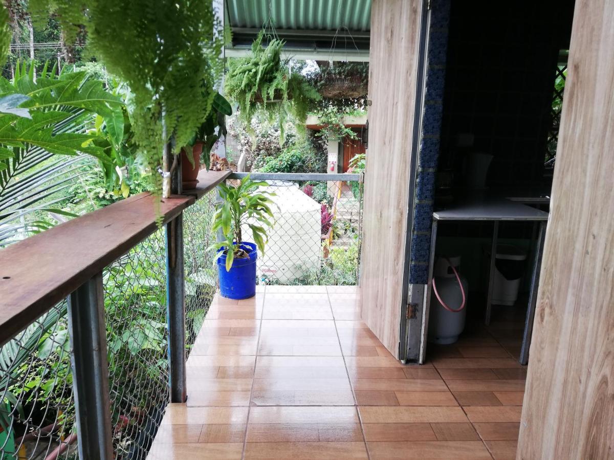 Apartmán Casita Tangara Con Balcon Y Agua Caliente Drakes Bay Pokoj fotografie