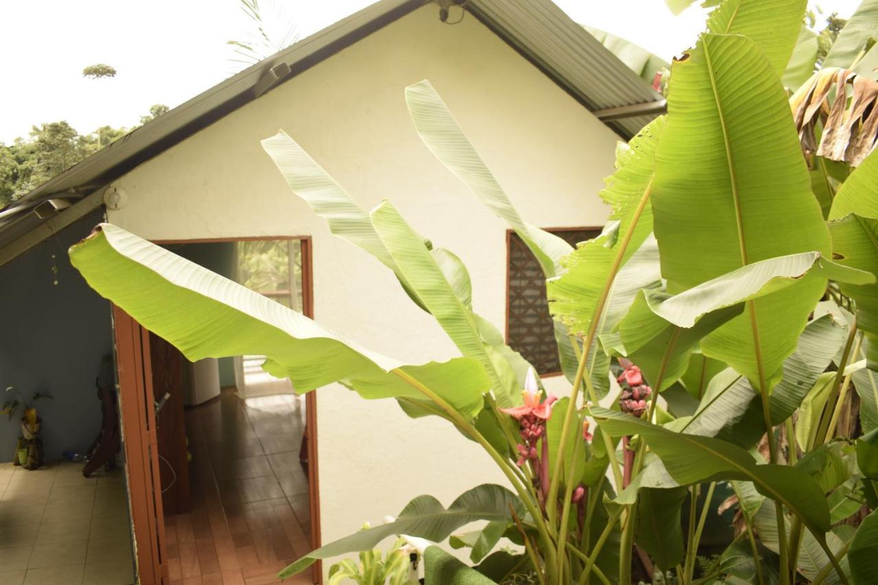 Apartmán Casita Tangara Con Balcon Y Agua Caliente Drakes Bay Exteriér fotografie