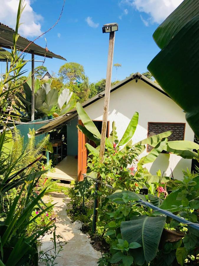 Apartmán Casita Tangara Con Balcon Y Agua Caliente Drakes Bay Exteriér fotografie