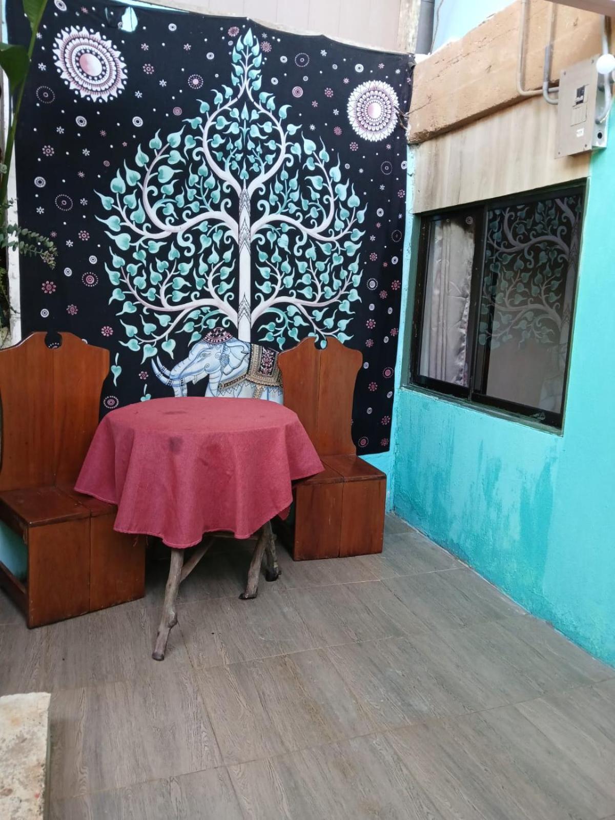 Apartmán Casita Tangara Con Balcon Y Agua Caliente Drakes Bay Exteriér fotografie